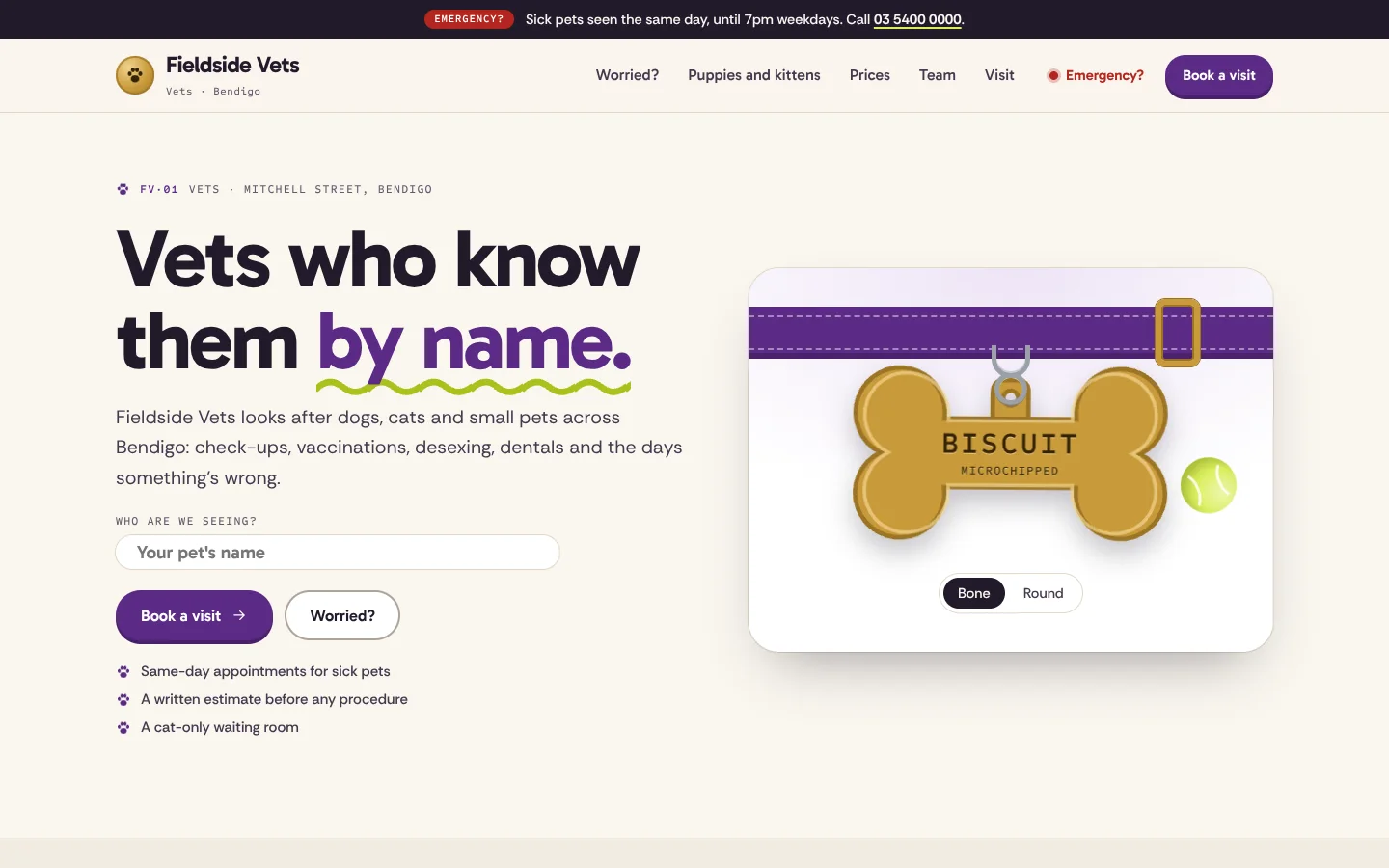 Collar template home page: a bold headline whose last words are plum over a tennis-ball-green squiggle, a 'Who are we seeing?' name field, and a brass bone-shaped ID tag engraved BISCUIT hanging from a stitched plum collar, with a tennis ball beside it