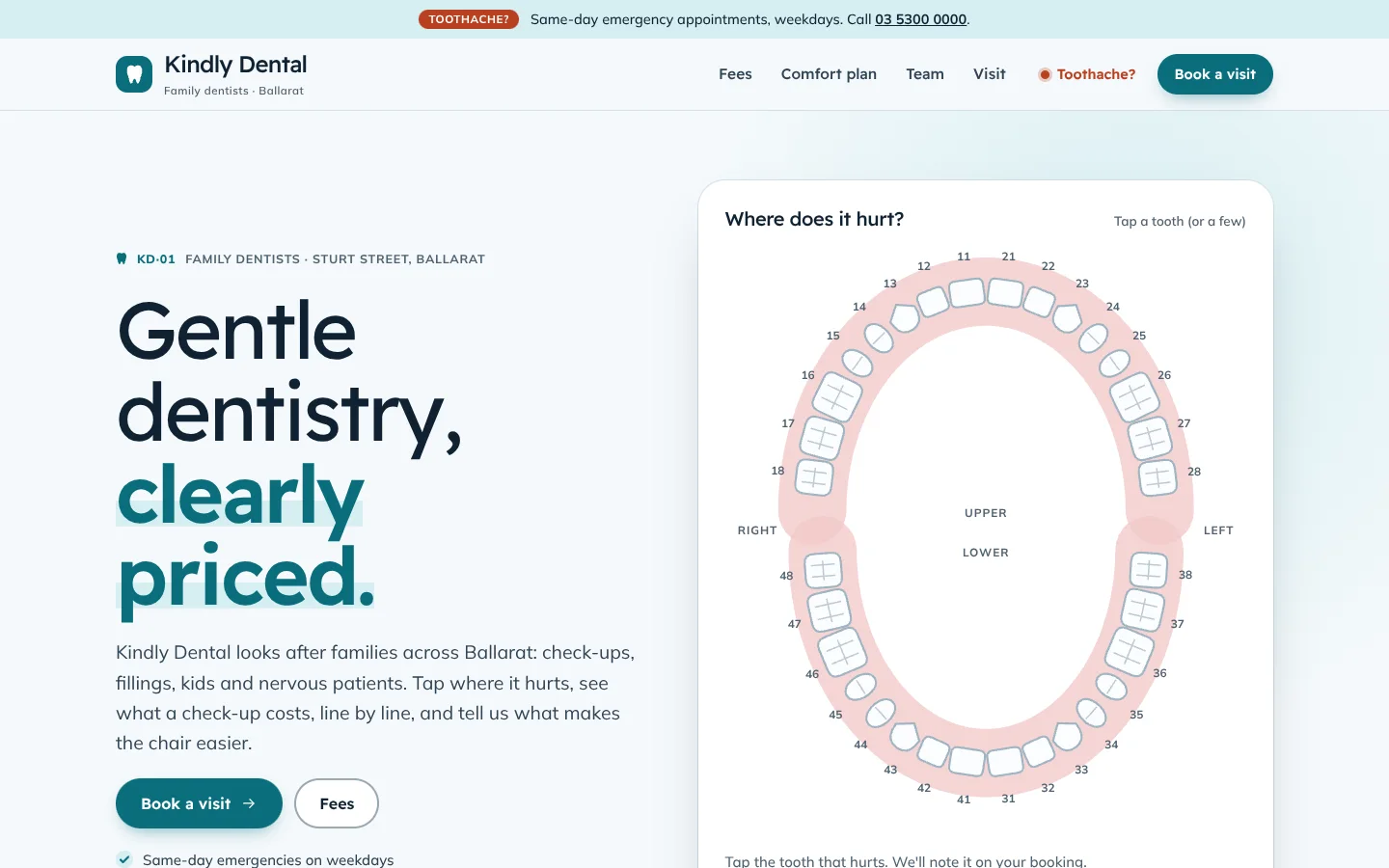 Enamel template home page: a rounded headline whose last words are teal on a soft wash, beside a dental chart of 32 numbered teeth on pink upper and lower arches, two molars picked out in coral