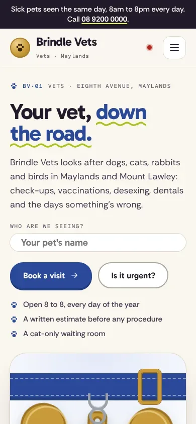 Brindle Vets template on a phone