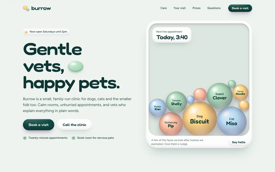 Burrow Vets example site